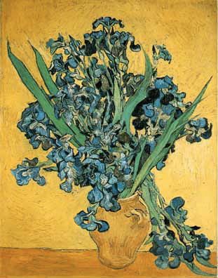 110419 Vincent Van Gogh - les iris, Van Gogh Museum, Amsterdam