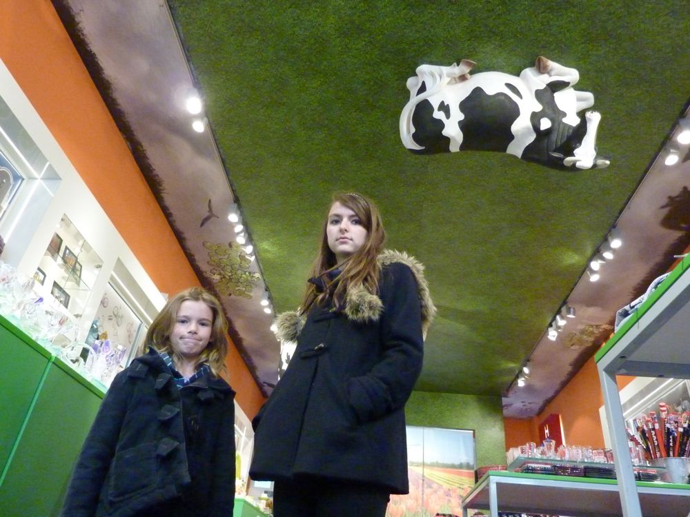 110417 Magasin avec vaches au plafond, Amsterdam - 1